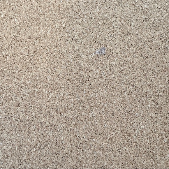 Christmas Cork Backed Placemats Set of Four Happy Holidays - Picture 5 of 6